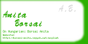 anita borsai business card